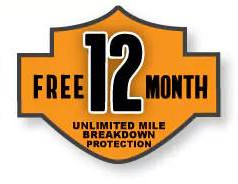 12 free month